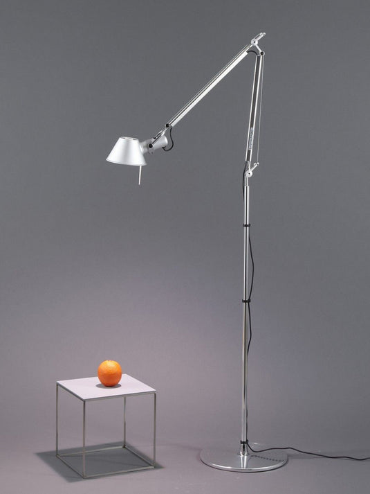 Nordic Internet Celebrity Fishing Lamp Floor Lamp